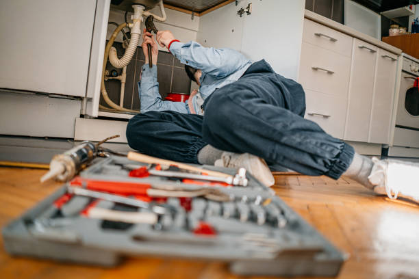 Best Residential Plumbing Services  in Dilworth, MN